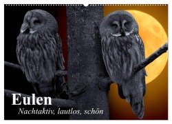 Eulen. Nachtaktiv, lautlos, schön (Wandkalender 2026 DIN A2 quer), CALVENDO Monatskalender - Elisabeth Stanzer