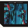 Cover-Bild zum Titel 'Episoden (Slim Edition)' von 'Holzig'