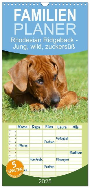 Familienplaner 2025 - Rhodesian Ridgeback - Jung, wild, zuckersüß mit 5 Spalten (Wandkalender, 21 x 45 cm) CALVENDO - Birgit Bodsch