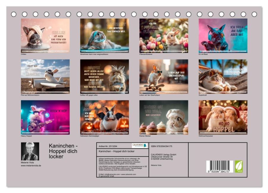 InsideView 5