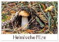 Heimische Pilze (Wandkalender 2025 DIN A2 quer), CALVENDO Monatskalender - LianeM LianeM