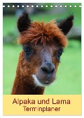 Alpaka und Lama Terminplaner (Tischkalender 2025 DIN A5 hoch), CALVENDO Monatskalender - Kattobello Kattobello