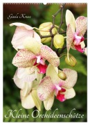 Cover-Bild zum Titel 'Kleine Orchideenschätze (Wandkalender 2026 DIN A2 hoch), CALVENDO Monatskalender' von 'Gisela Kruse'
