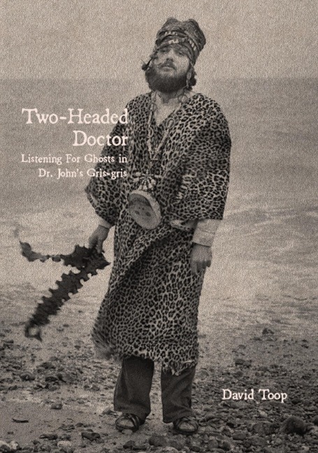 Two-Headed Doctor - David Toop