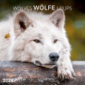 Wolves/Wölfe 2025 - 