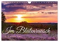 Im Blütenrausch der Lüneburger Heide (Wandkalender 2025 DIN A4 quer), CALVENDO Monatskalender - Sandra Lorenzen-Müller