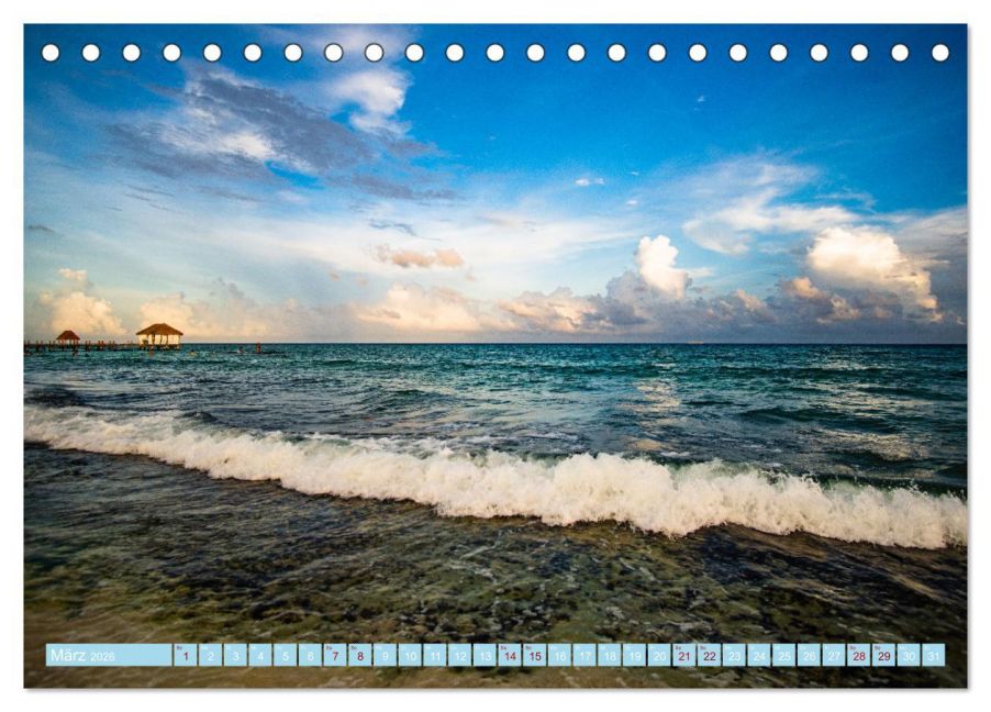 InsideView 8