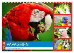 Cover-Bild zum Titel 'Papageien. Knallbunte Aras und Co. (Wandkalender 2026 DIN A3 quer), CALVENDO Monatskalender' von 'Rose Hurley'