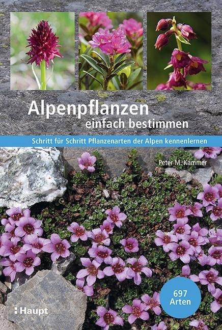 Alpenpflanzen einfach bestimmen - Peter M. Kammer