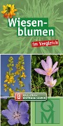 Wiesenblumen im Vergleich - 10er-Set - 