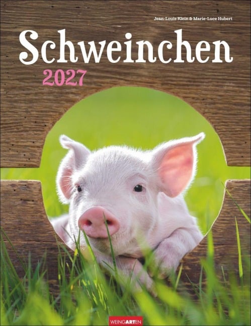 Schweinchen Kalender 2027 - 