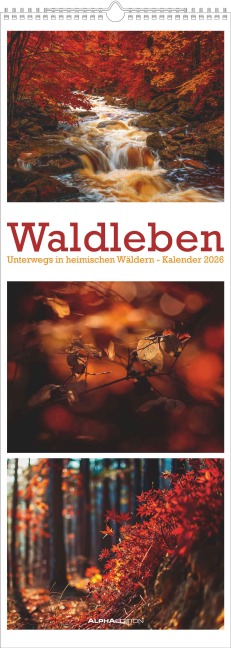 Waldleben - Triplets 2026 - Streifenkalender XXL 25x69 cm - Bildkalender im Hochformat - Naturkalender - 