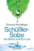 Cover-Bild zum Titel 'Schüßler-Salze bei Stress und Burn-out' von 'Thomas Feichtinger'