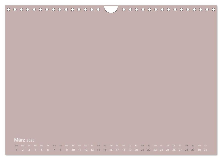 InsideView 8