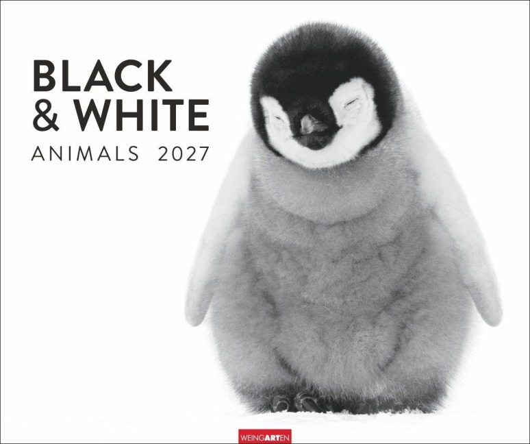 Black & White Animals 2027 - 