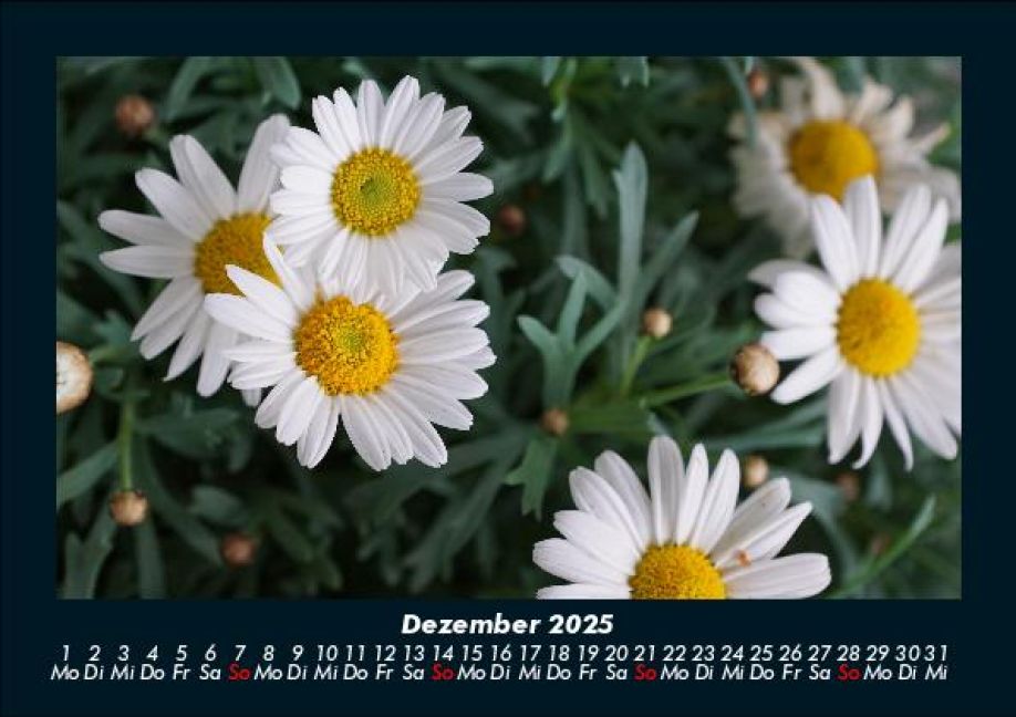 InsideView 4