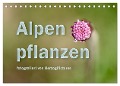 Alpenpflanzen fotografiert von HerzogPictures (Tischkalender 2024 DIN A5 quer), CALVENDO Monatskalender - HerzogPictures HerzogPictures