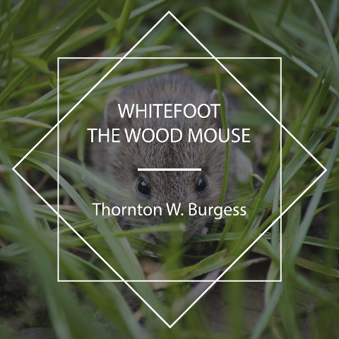 Whitefoot the Wood Mouse - Thornton W. Burgess