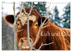 Cover-Bild zum Titel 'Kuh und Co. (Wandkalender 2026 DIN A4 quer), CALVENDO Monatskalender' von 'E. Ehmke'