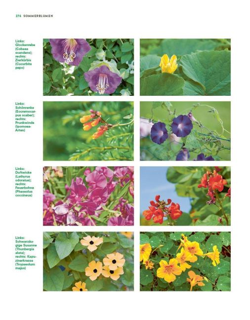 InsideView 15