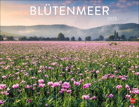 Blütenmeer Posterkalender 2025 - 