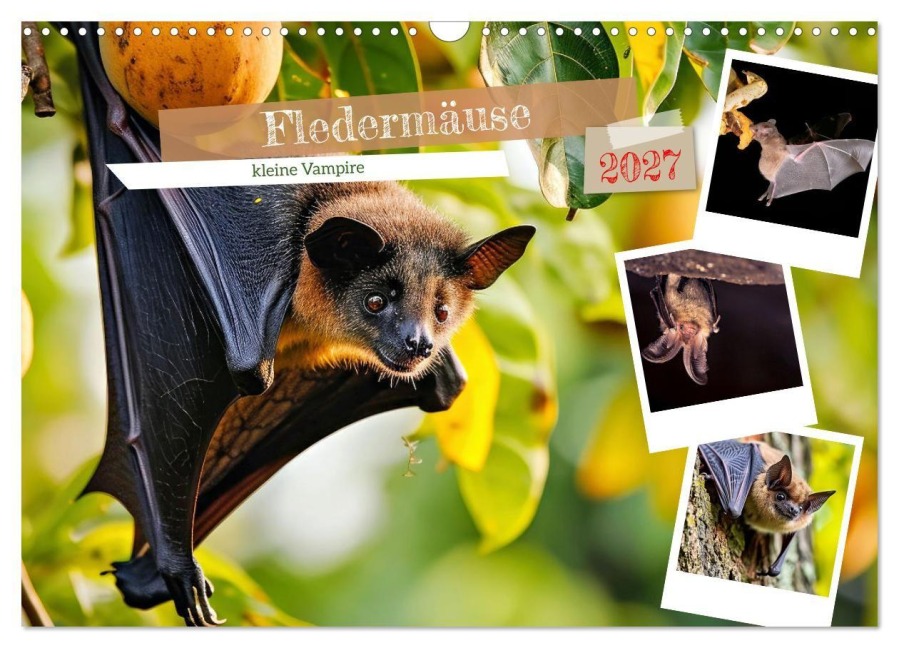 Fledermäuse - kleine Vampire (Wandkalender 2027 DIN A3 quer), CALVENDO Monatskalender - Susan Michel