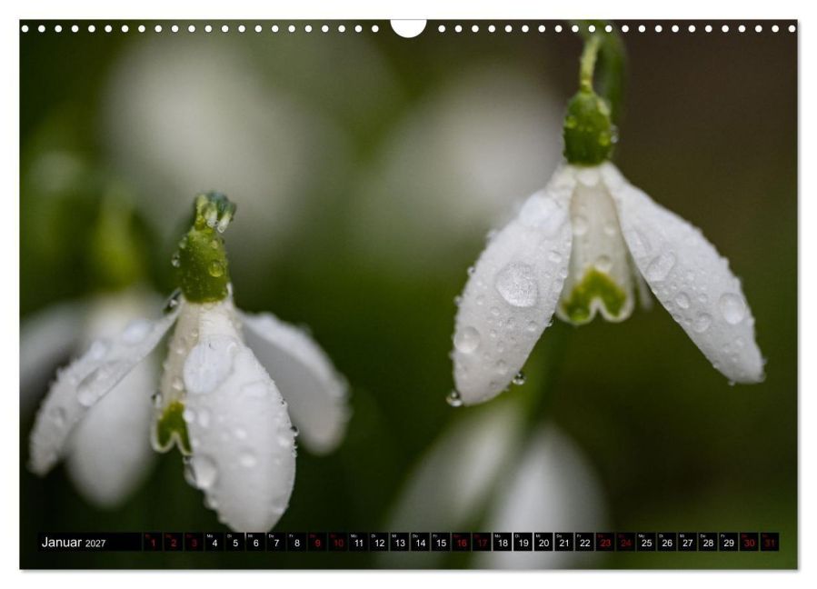 InsideView 6