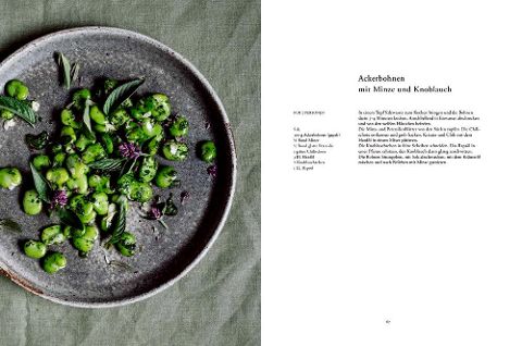 InsideView 10