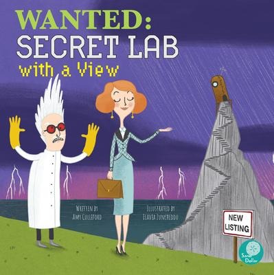 Wanted: Secret Lab with a View - Amy Culliford, Flavia Zuncheddu