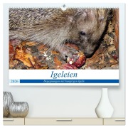 Igeleien - Begegnungen mit hungrigen Igeln (hochwertiger Premium Wandkalender 2026 DIN A2 quer), Kunstdruck in Hochglanz - Henning von Löwis of Menar