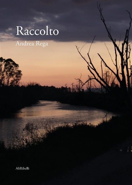 Raccolto - Andrea Rega