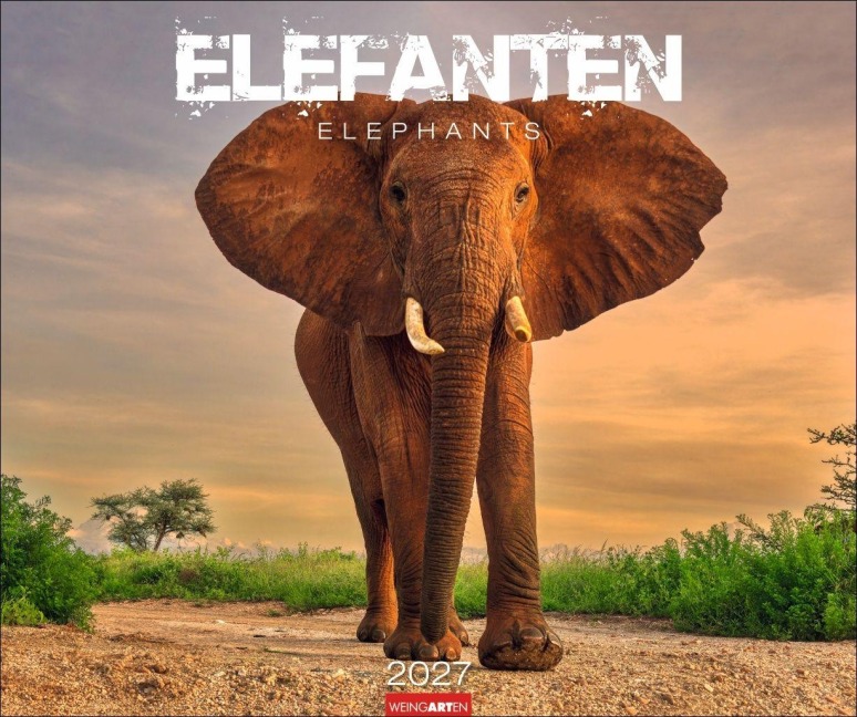 Elefanten Kalender 2027 - 
