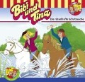 Cover-Bild zum Titel 'Folge 58:Die rätselhafte Schatzsuche' von 'Bibi & Tina'