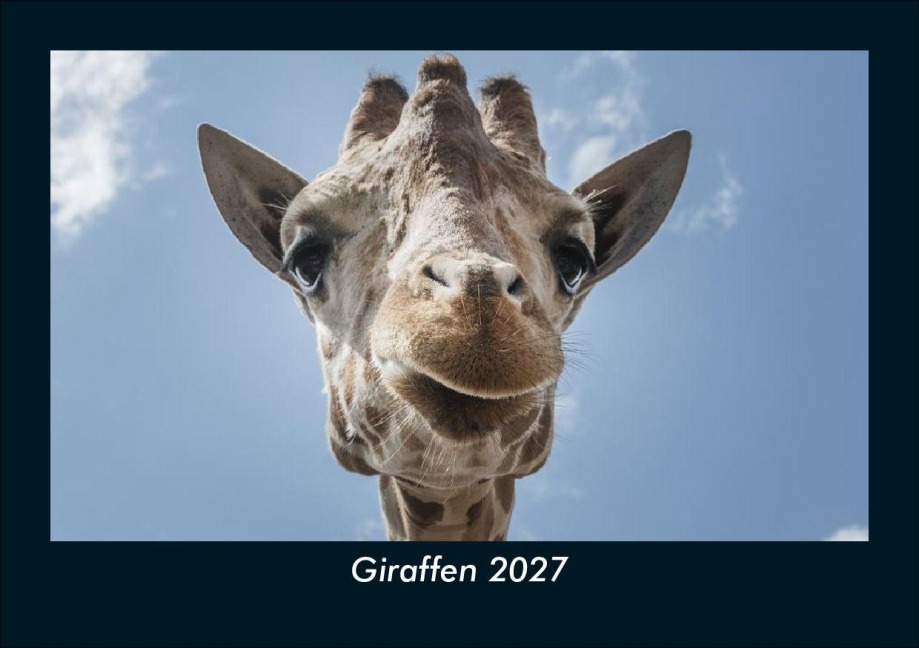 Giraffen 2027 Fotokalender DIN A5 - Tobias Schmitt, Kevin Heber