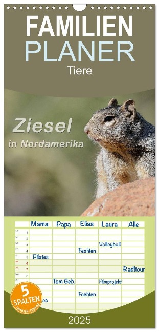 Familienplaner 2025 - Ziesel in Nordamerika mit 5 Spalten (Wandkalender, 21 x 45 cm) CALVENDO - Dieter-M. Wilczek