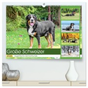 Cover-Bild zum Titel 'Große Schweizer - Gigantische Sennenhunde (hochwertiger Premium Wandkalender 2026 DIN A2 quer), Kunstdruck in Hochglanz' von 'Jana K. Fotografie'