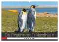 Die Pinguine der Falklandinseln (Wandkalender 2024 DIN A2 quer), CALVENDO Monatskalender - Norbert W. Saul