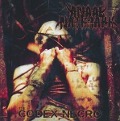 Cover-Bild zum Titel 'The Codex Necro' von 'Anaal Nathrakh'