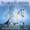 Cover-Bild zum Titel 'Der Schimmelreiter' von 'Theodor Storm'