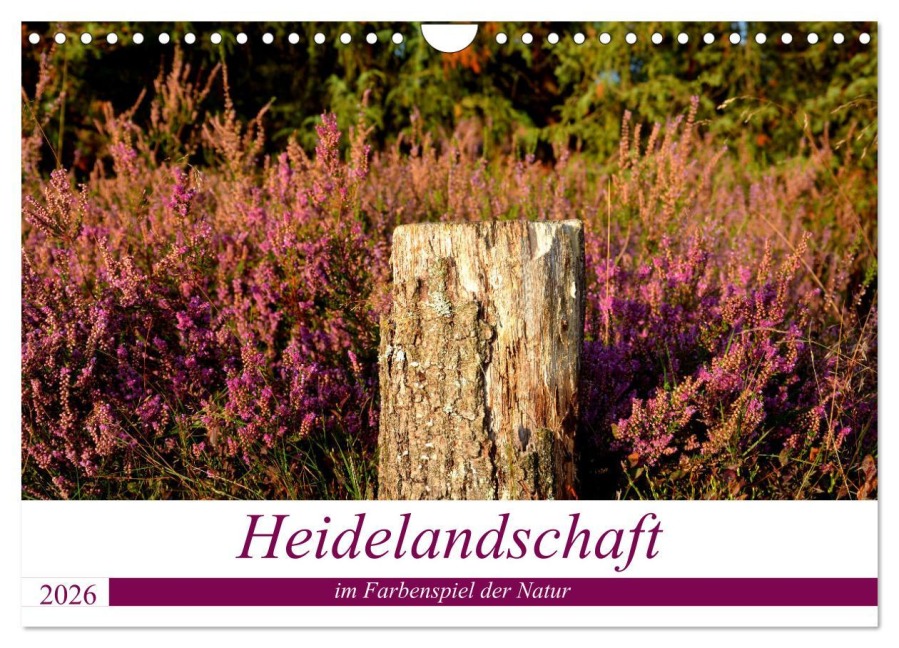Heidelandschaft im Farbenspiel der Natur (Wandkalender 2026 DIN A4 quer), CALVENDO Monatskalender - Petra Giesecke