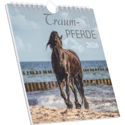 Traumpferde 2026 - Postkartenkalender 16x17 cm - Horses - zum Aufstellen oder Aufhängen - Monatskalendarium - Gadget - Mitbringsel - Alpha Edition - 