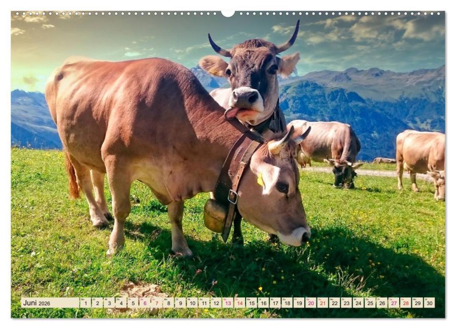 InsideView 11