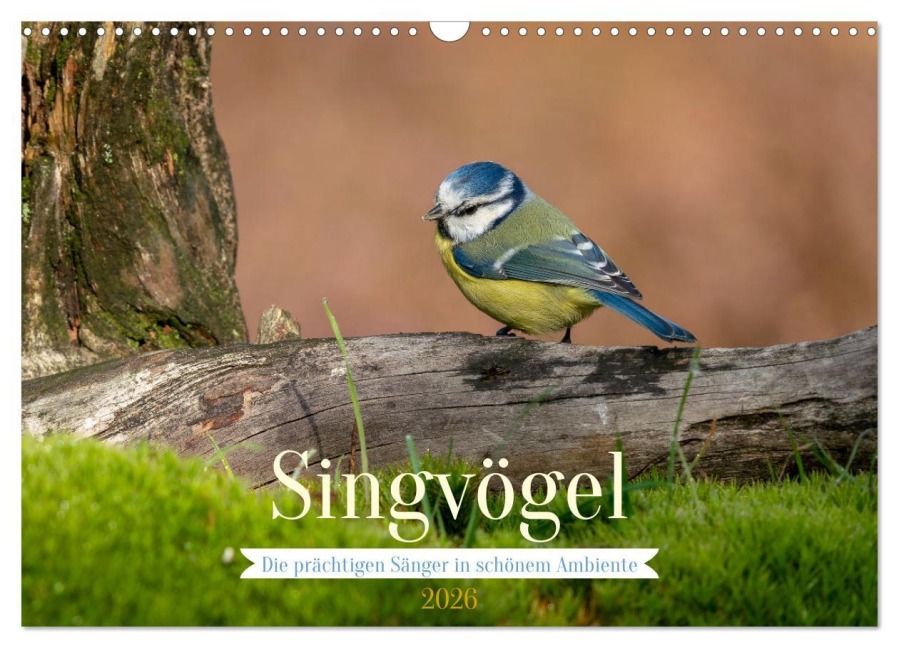 SINGVÖGEL - Die prächtigen Sänger in schönem Ambiente (Wandkalender 2026 DIN A3 quer), CALVENDO Monatskalender - Arne Wünsche