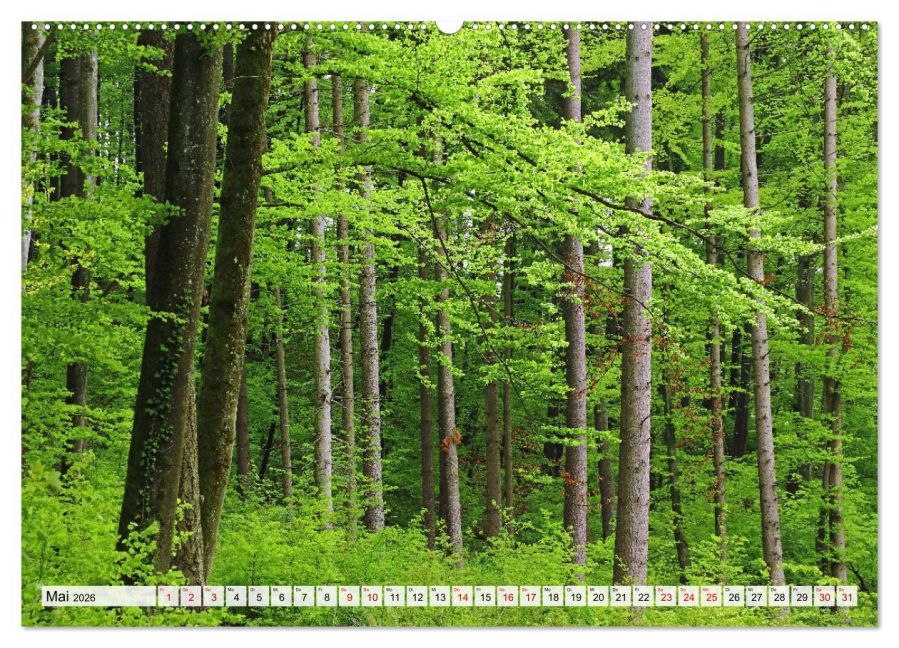 InsideView 9