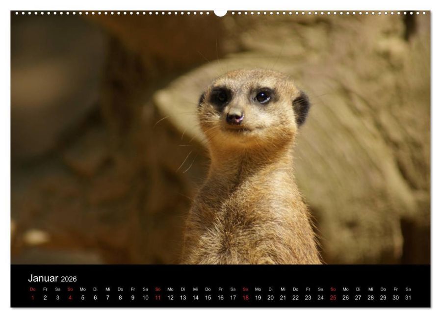 InsideView 6