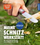 Cover-Bild zum Titel 'Meine Schnitzwerkstatt' von 'Astrid Schulte'