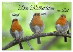 Cover-Bild zum Titel 'Das Rotkehlchen singt uns ein Lied (Wandkalender 2026 DIN A4 quer), CALVENDO Monatskalender' von 'Rufotos Rufotos'