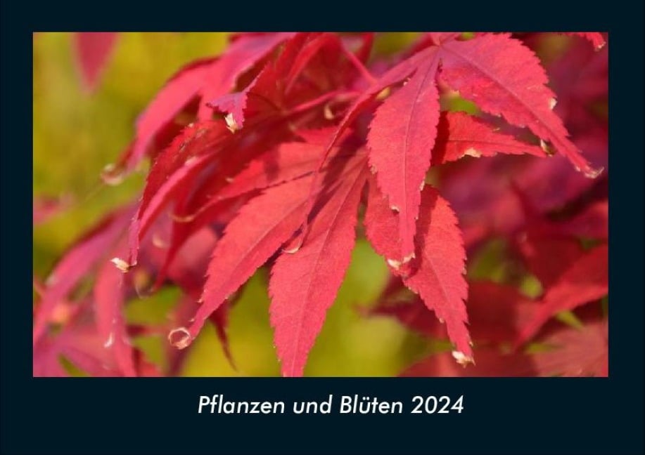 Pflanzen und Blüten 2024 Fotokalender DIN A4 - Tobias Becker