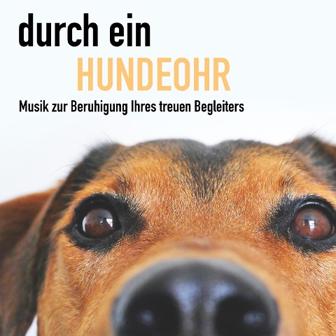 Durch ein Hundeohr - Entspannungsmusik für Hunde - Regina Baldoni, Joshua Cranston, Regina Baldoni, Joshua Cranston