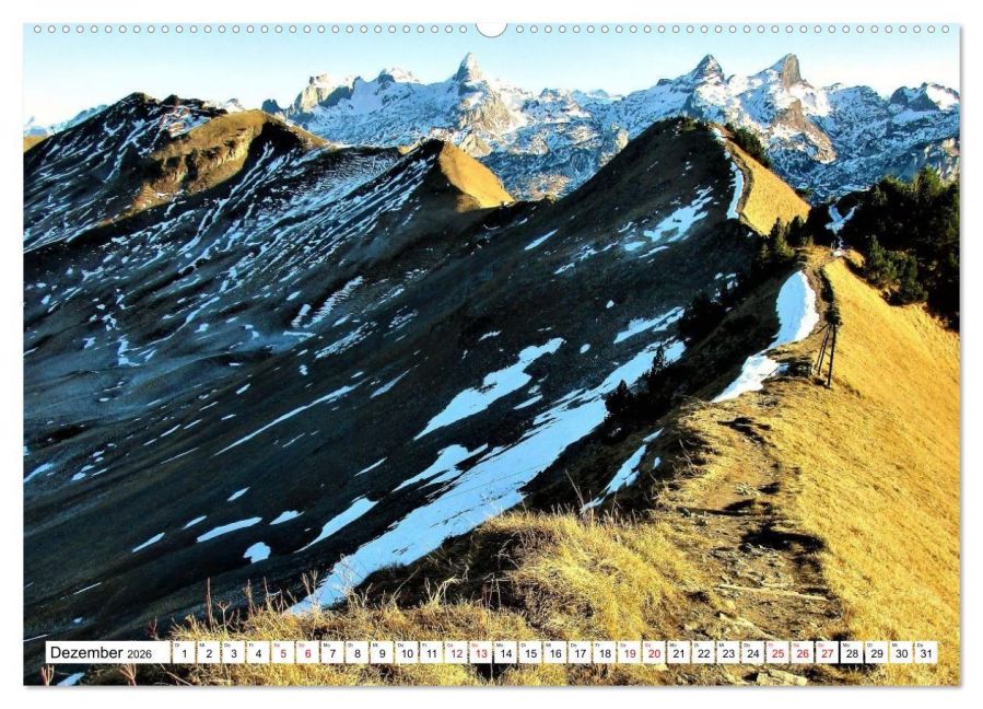 InsideView 3